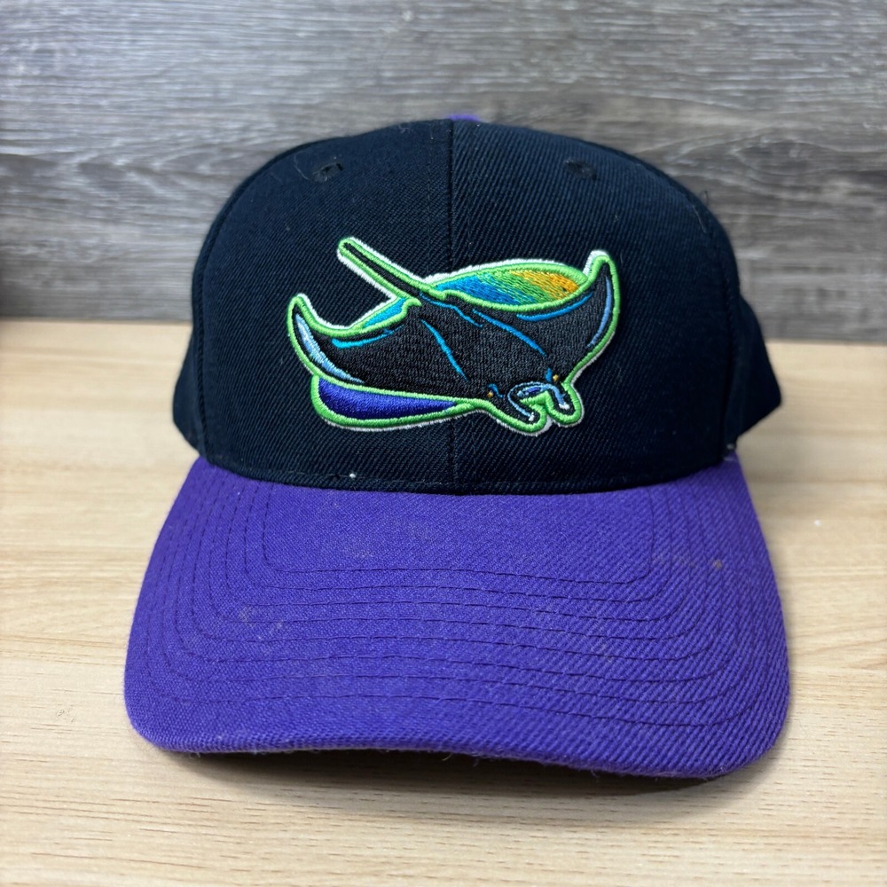 Vintage Tampa Bay Devil Rays Hat Snap Back Black MLB Baseball Sports Specialties